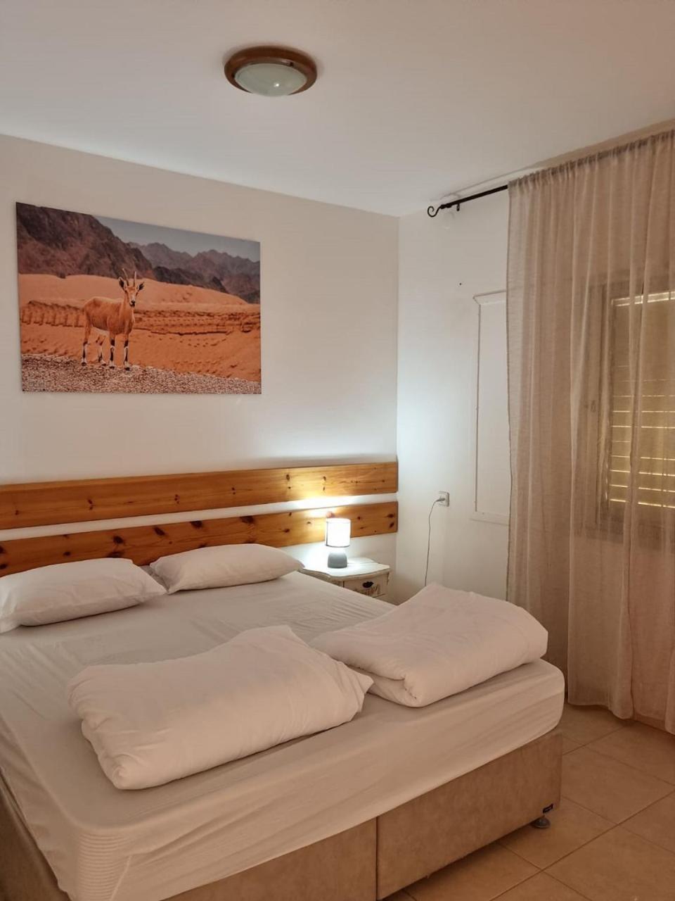 Elifaz Desert Experience Holiday Exteriör bild